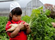 28 điều người Nhật dạy con đáng nể phục (Phần 1)