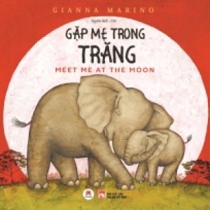 Gặp Mẹ Trong Trăng