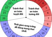 Cách tính ngày rụng trứng và thời điểm quan hệ thích hợp để sinh con trai