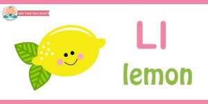 Flashcard cho bé-lemon