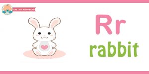 Flashcard cho bé -rabbit