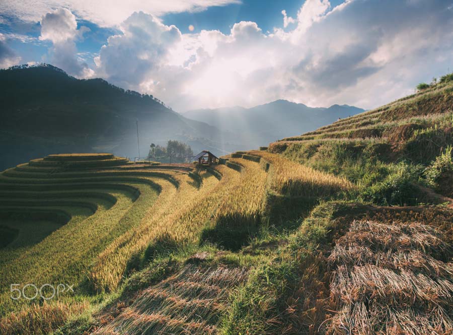 tu le là một sân thượng gạo đặc biệt của Việt Nam với vẻ đẹp yên bình