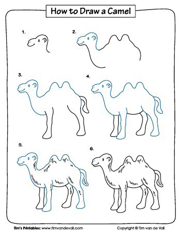 Vẽ chú lạc đà